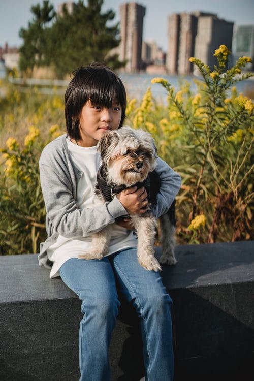 小男孩抱着狗在城市公园 · 免费素材图片