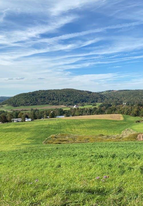 有关垂直拍摄, 工厂, 房子的免费素材图片