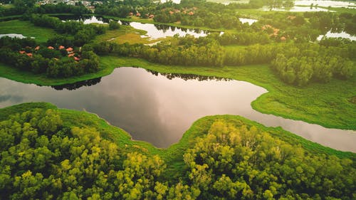 绿树环绕的水形成的航拍 · 免费素材图片
