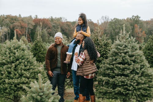 积极的黑人家庭，在树场上为圣诞节做准备 · 免费素材图片