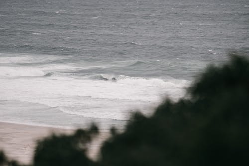 有关户外, 波浪崩溃, 海的免费素材图片