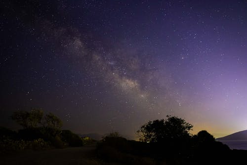 星云下的树的轮廓 · 免费素材图片