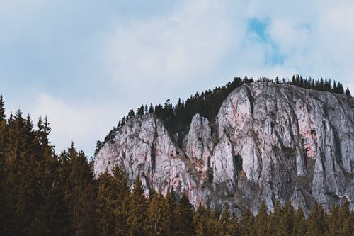 灰山旁的绿树 · 免费素材图片