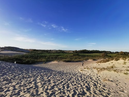 有关人, 天性, 天空的免费素材图片