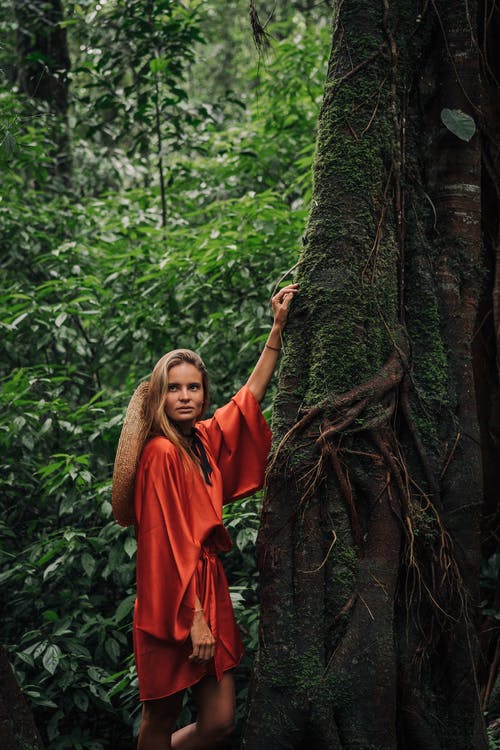有关人, 丛林, 垂直拍摄的免费素材图片