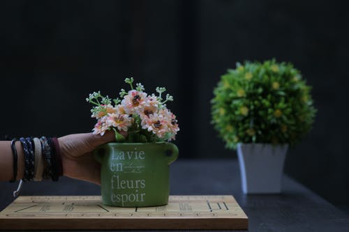 持有绿色陶瓷锅的人 · 免费素材图片