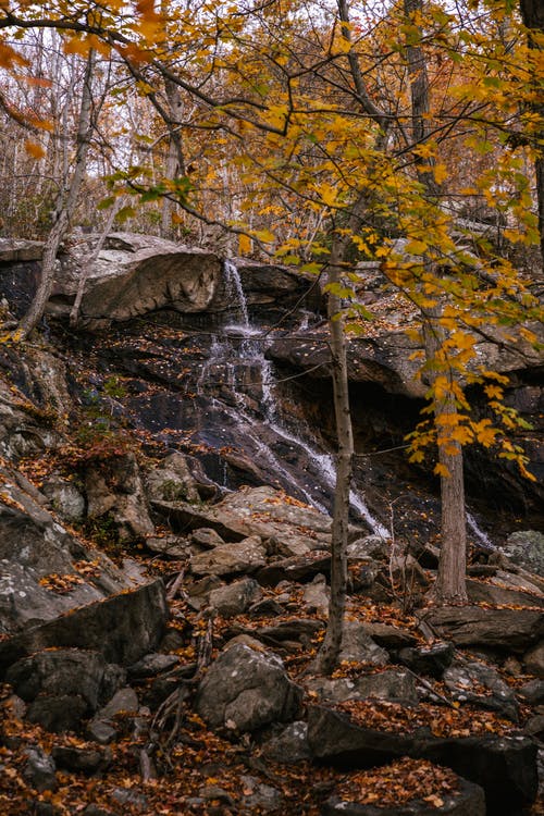 瀑布流经秋天的森林中的岩石形成 · 免费素材图片
