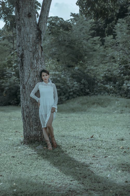 有关一瞥, 不情绪化, 个性的免费素材图片