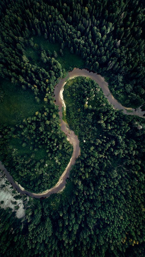 有关垂直拍摄, 增长, 弧线的免费素材图片