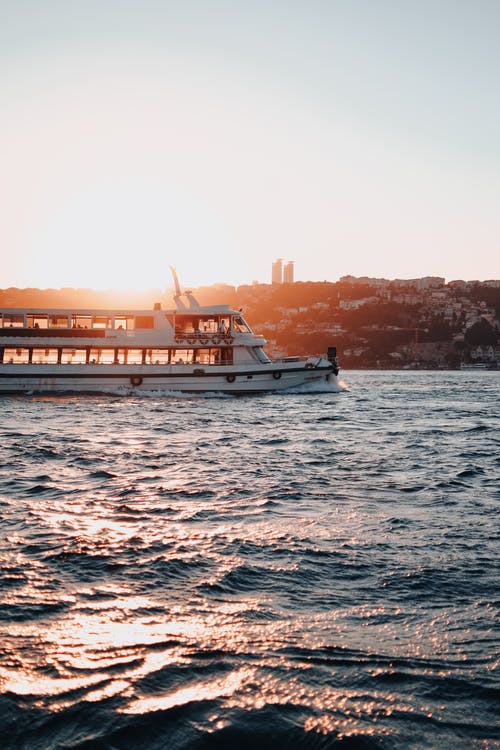 有关垂直拍摄, 日出, 日落的免费素材图片