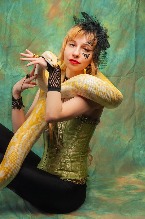 有关python, 偏心, 充满活力的免费素材图片