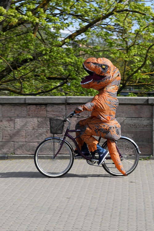 有关不露面, 享受, 人的免费素材图片