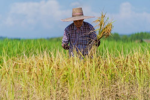 有关人, 健康, 家伙的免费素材图片