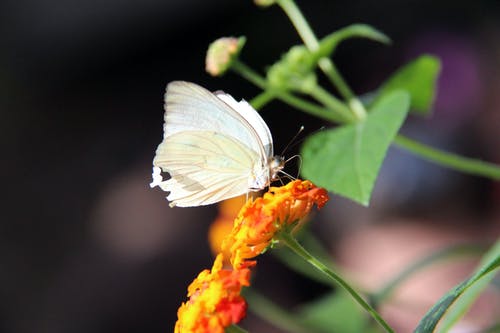 有关小, 山脚, 微妙的免费素材图片