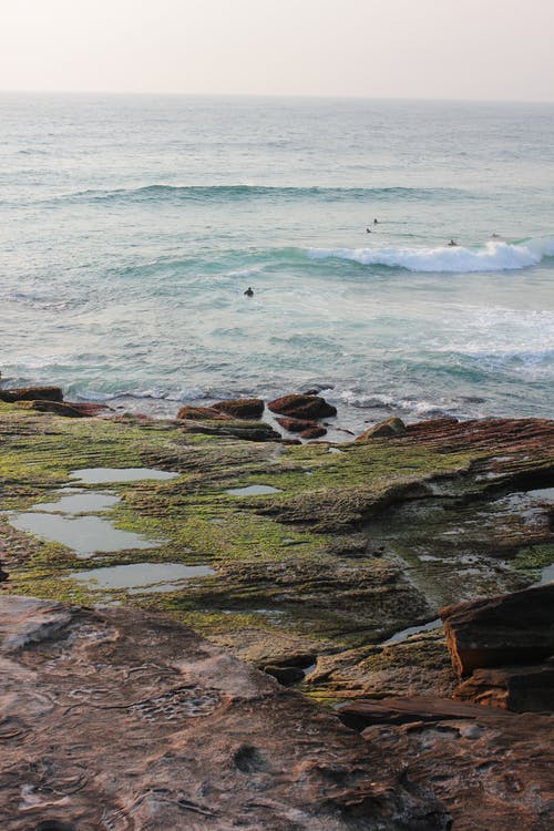 海边的绿色和棕色岩层 · 免费素材图片