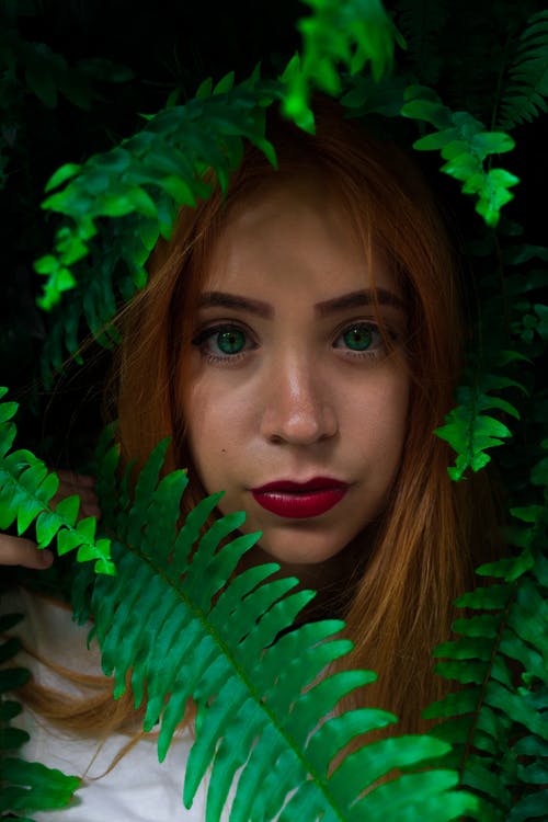 在蕨植物附近的女人的照片 · 免费素材图片