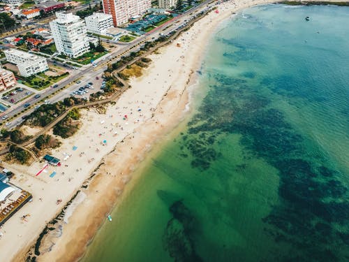 有关punta del este, 城市, 大西洋的免费素材图片