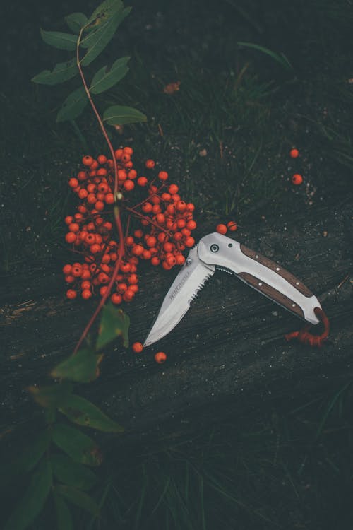 白色和棕色折叠刀 · 免费素材图片