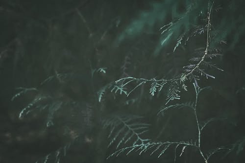 有关Copyspace, 不变, 全画幅的免费素材图片