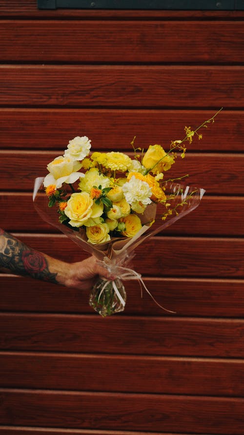 有关クラボアマレロ, 展示, 康乃馨的免费素材图片