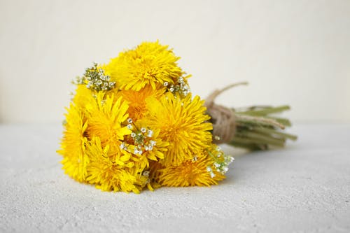 有关植物群, 花, 花束的免费素材图片