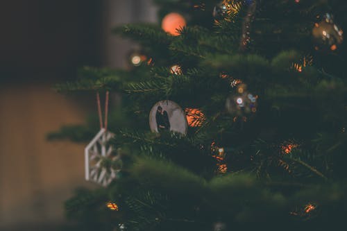 圣诞树用小玩意 · 免费素材图片