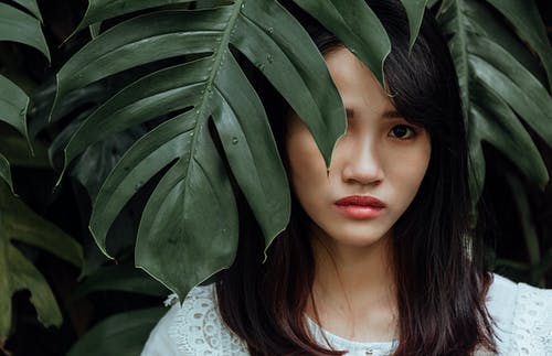 女人穿着白衬衫站在绿色的植物的叶子后面 · 免费素材图片