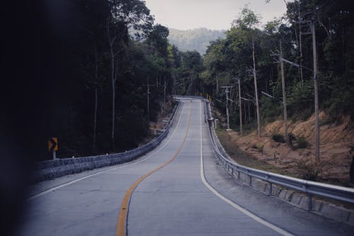 有关坏心情, 巷道, 树木的免费素材图片