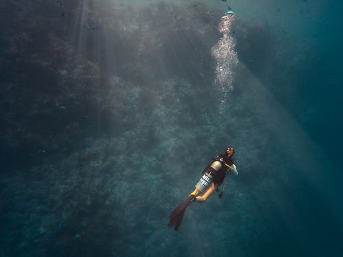在海洋上潜水的人 · 免费素材图片