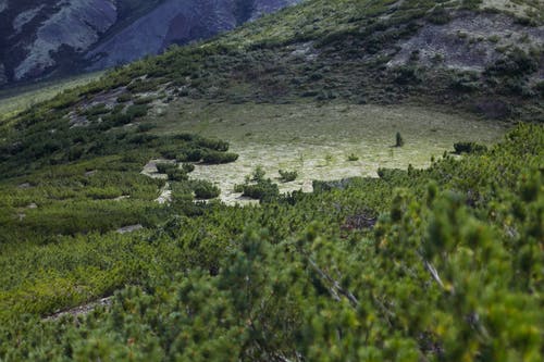 有关不变, 佩服, 和平的的免费素材图片