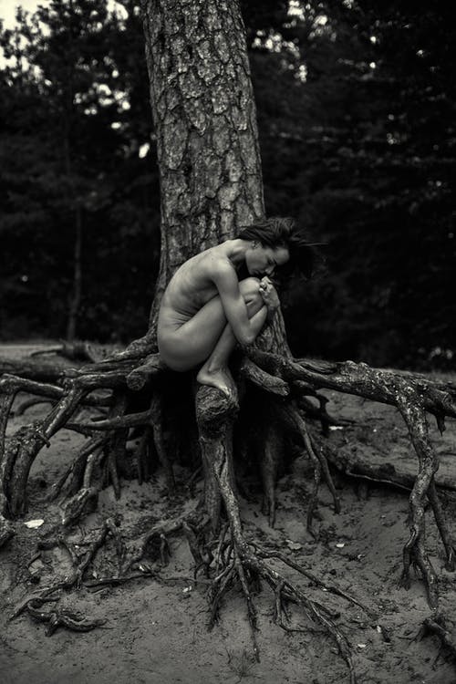 有关侧面图, 坐, 天性的免费素材图片