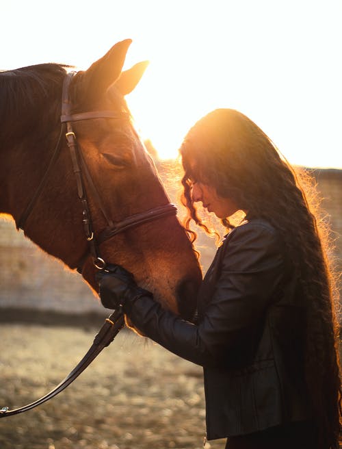 年轻女子在阳光下抚摸着马 · 免费素材图片