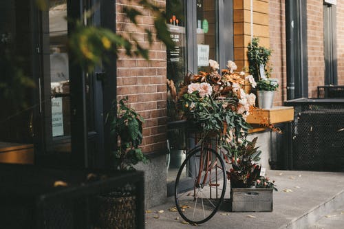 有关秋天, 美丽的花朵, 老街的免费素材图片
