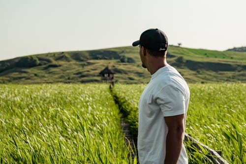 一个穿着白衬衫站在农田的男人的照片 · 免费素材图片