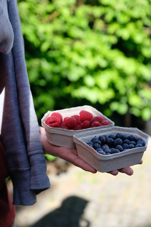 人拿着蓝莓和覆盆子模制纸浆容器的选择性焦点照片 · 免费素材图片