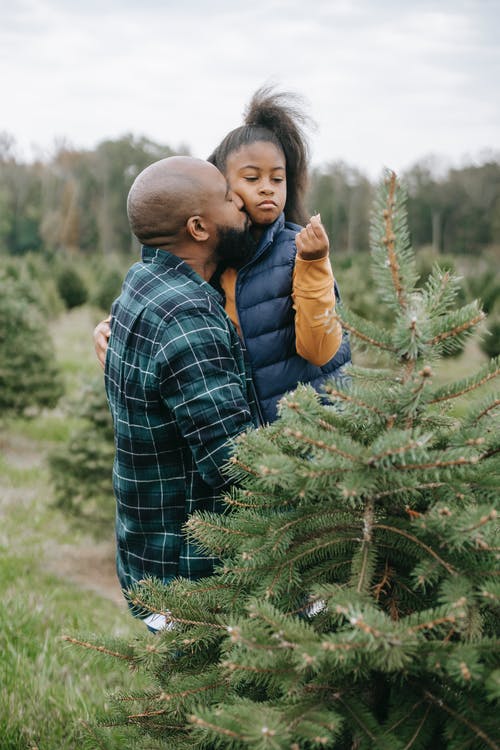 黑人父亲背着女儿站在枞树之间 · 免费素材图片