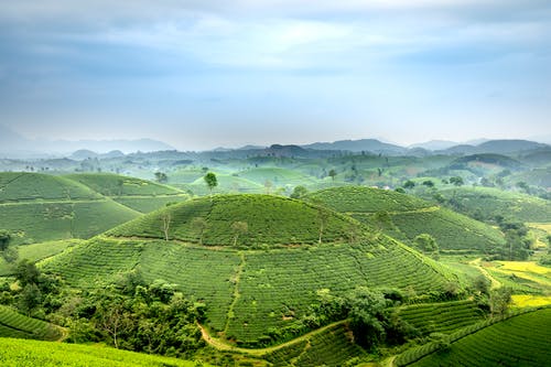 有关和平的, 和諧, 地形的免费素材图片