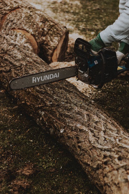 有关不露面, 乾的, 人的免费素材图片