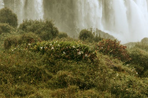绿草地 · 免费素材图片