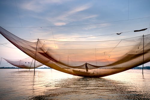 有关不露面, 人, 剪影的免费素材图片