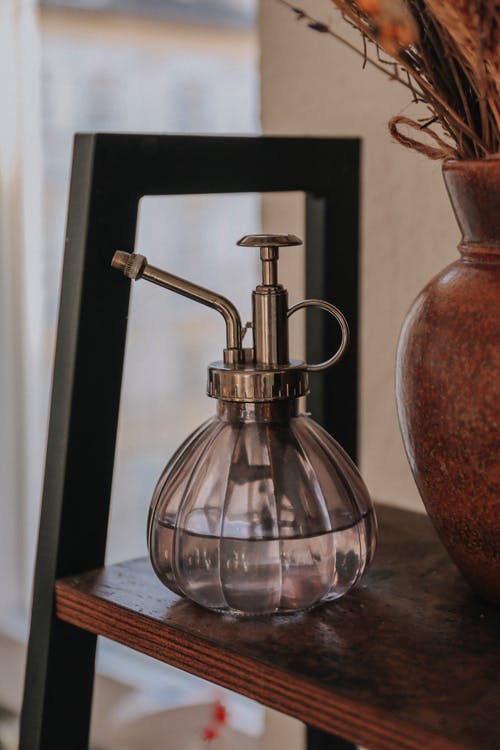 有关架子, 植物先生, 水的免费素材图片