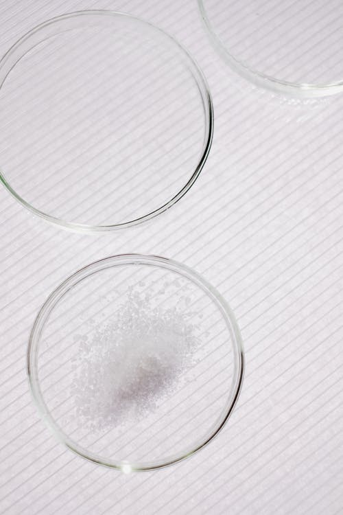 有关化学, 反应, 培养皿的免费素材图片