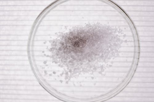 有关化学, 培养皿, 实验的免费素材图片