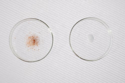 有关化学, 垂直拍摄, 培养皿的免费素材图片