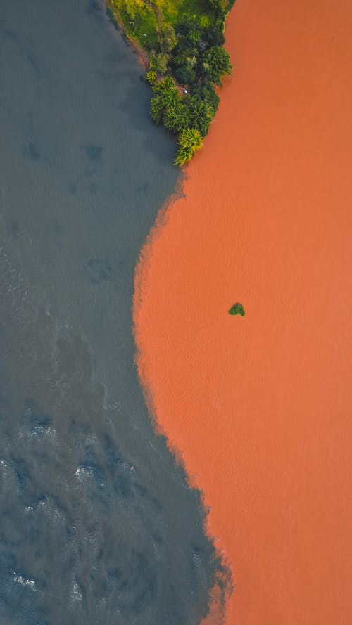 有关不变, 亚马逊河, 俯視圖的免费素材图片