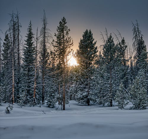 有关下雪的天氣, 冬季, 冬季景觀的免费素材图片