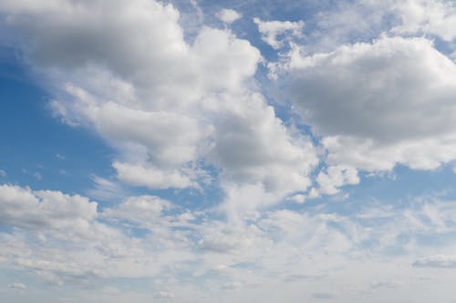 有关低角度视图, 天性, 天氣的免费素材图片