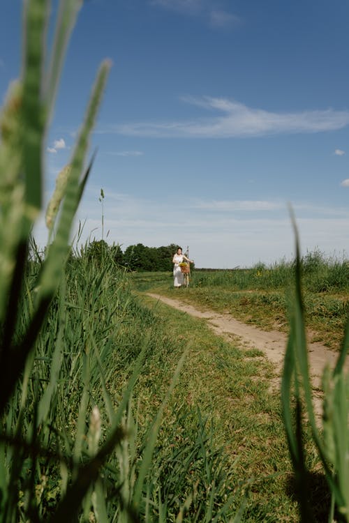 有关地面道路, 垂直拍摄, 女人的免费素材图片