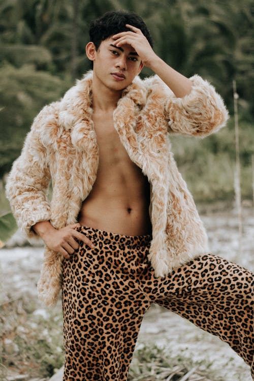 有关人, 創造力, 动物主题的免费素材图片