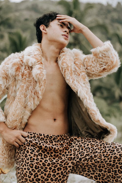 有关人, 創造力, 动物主题的免费素材图片